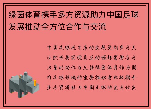 绿茵体育携手多方资源助力中国足球发展推动全方位合作与交流